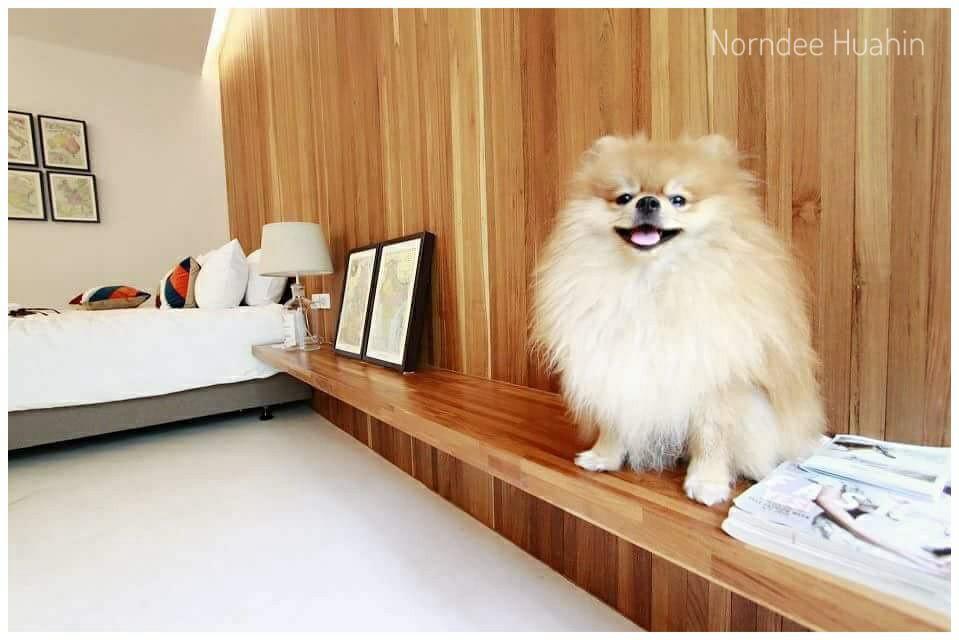 Norndee Hotel Hua Hin Exterior photo